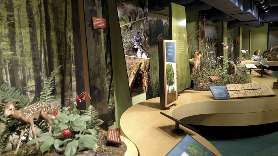 HABITAT MURALS AND THEMATIC DIORAMAS