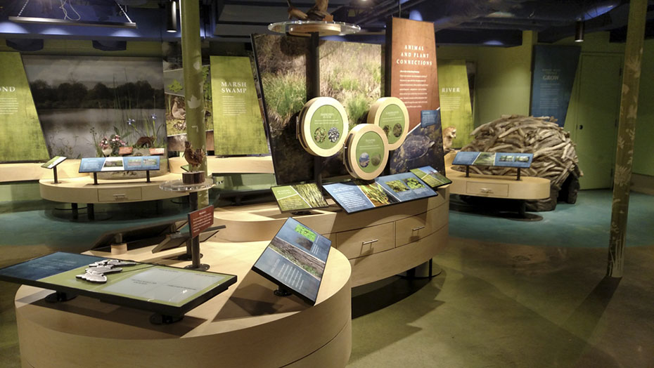 INTERACTIVE STATIONS AND DISCOVERY DRAWERS